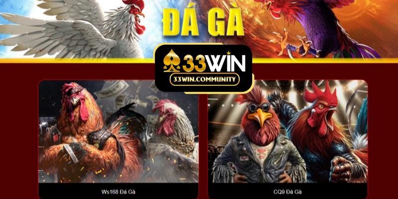 2 sảnh đá gà hấp dẫn tại 33WIN