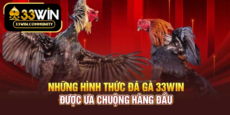 Các hình thức đá gà 33WIN được ưa chuộng nhất